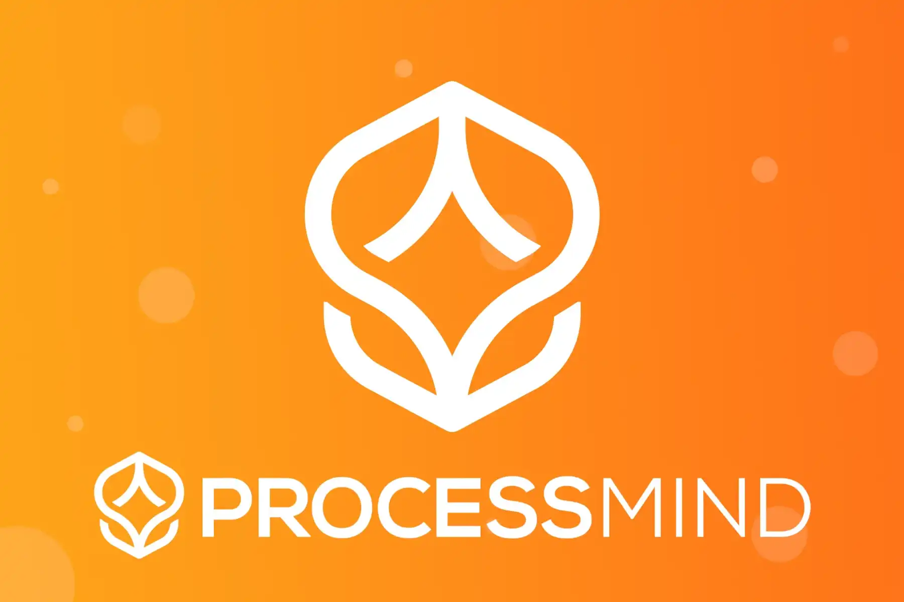 ProcessMind Logo